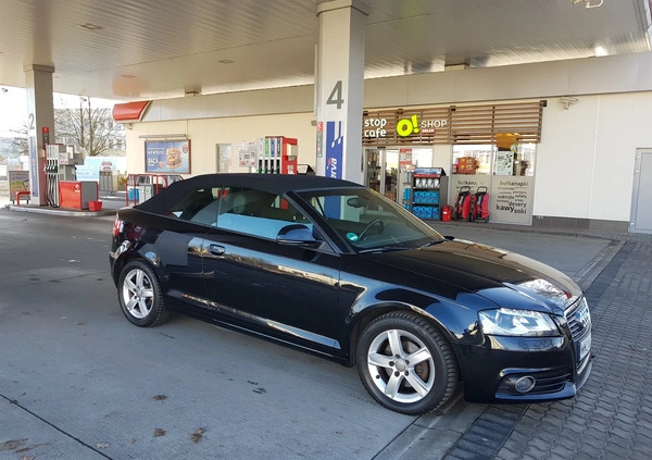 Audi A3 cena 33500 przebieg: 241000, rok produkcji 2008 z Płock małe 379